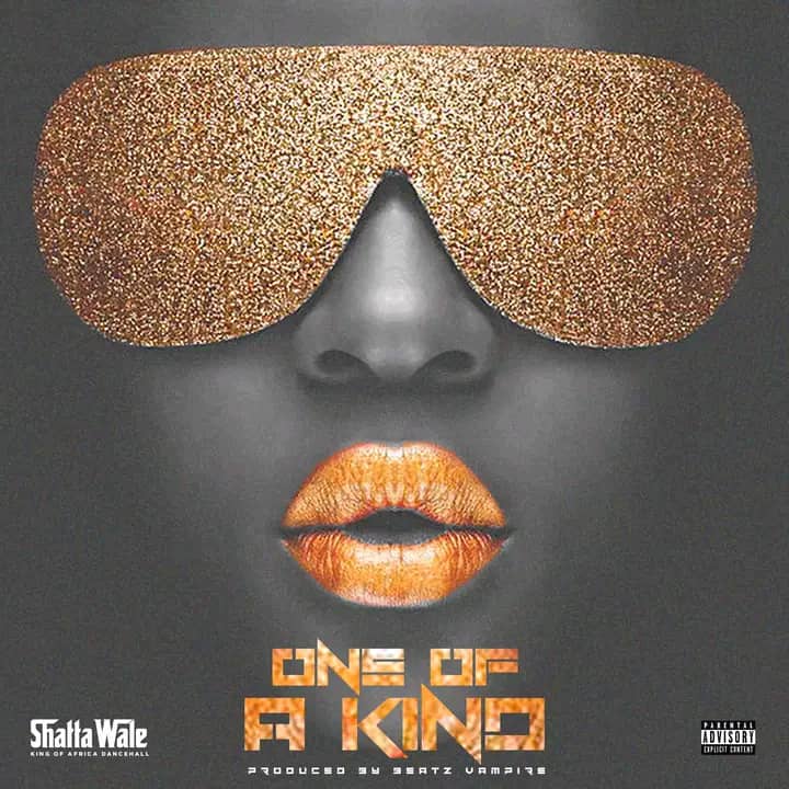Download: Shatta Wale _One of a kind- mp3